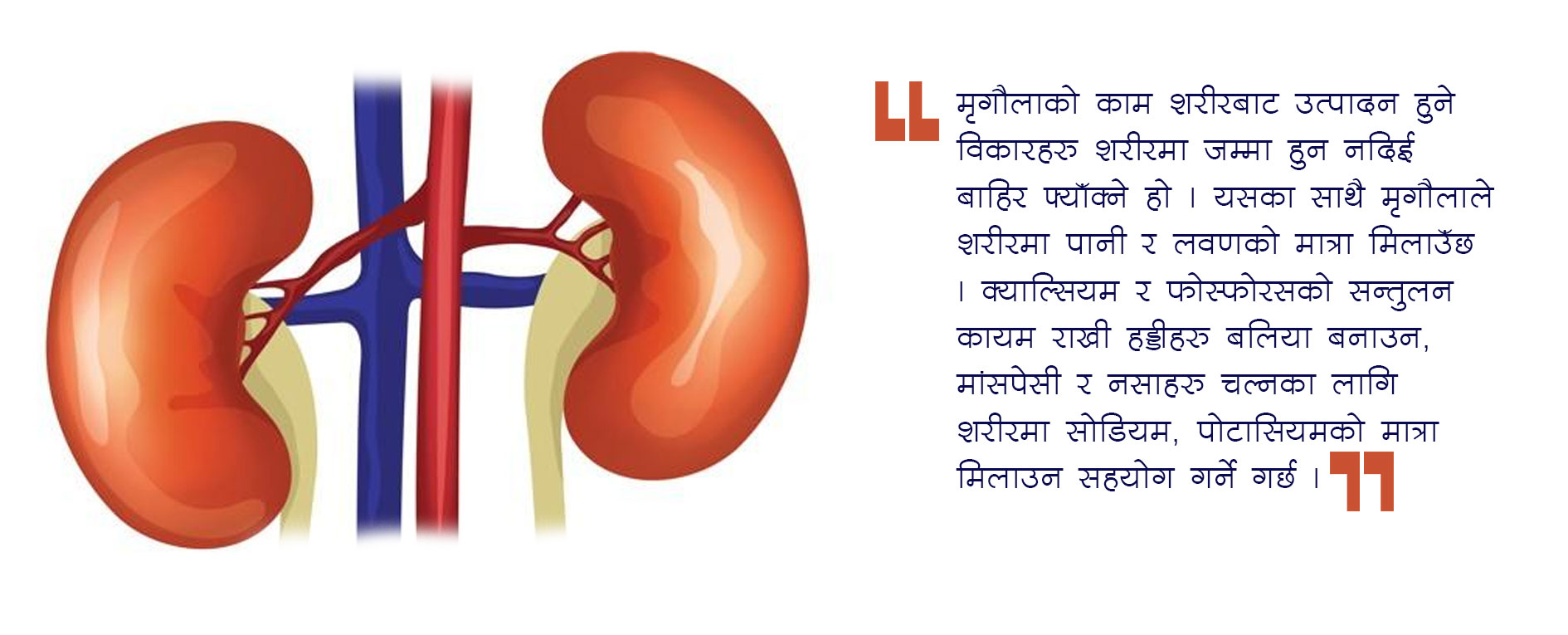 थाहै नपाई बिग्रिन सक्छ मृगौला, महिला बढी जोखिममा