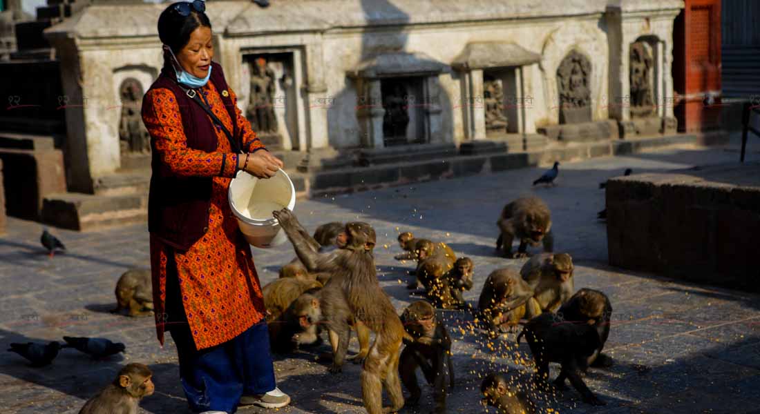 लकडाउनको नवौं दिन : यस्तो देखियो स्वयम्भूनाथ !