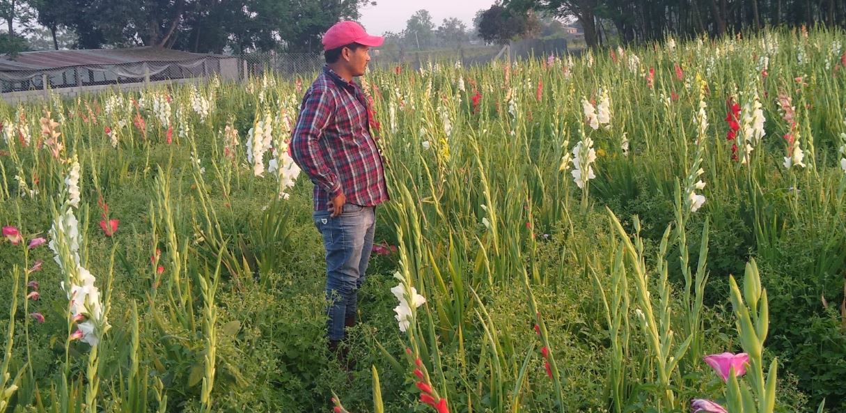 थामिएन किसानका आँशु : ‘फूल फूलेको सबैले देख्छन्, मन रोएको कसले देख्छ र ?’