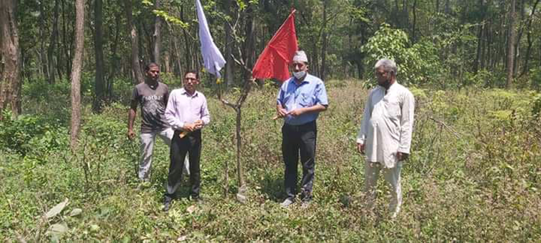 भीमदत्तमा एक सामुदायिक वन, एक पोखरी अभियान