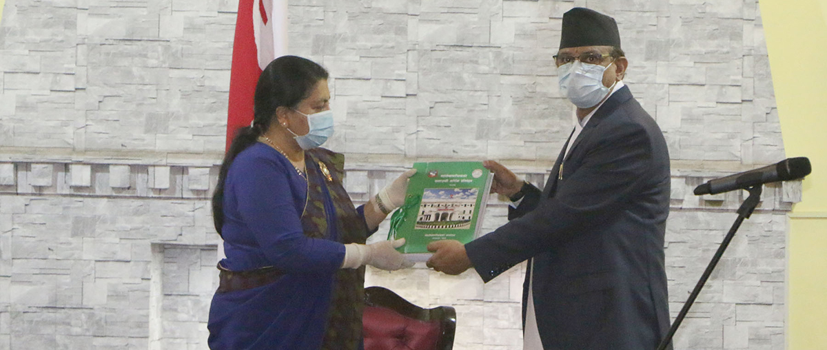 कर छुटको बेथिति : व्यापारीलाई करोडौंको लाभ, उपभोक्तालाई ‘शून्य’
