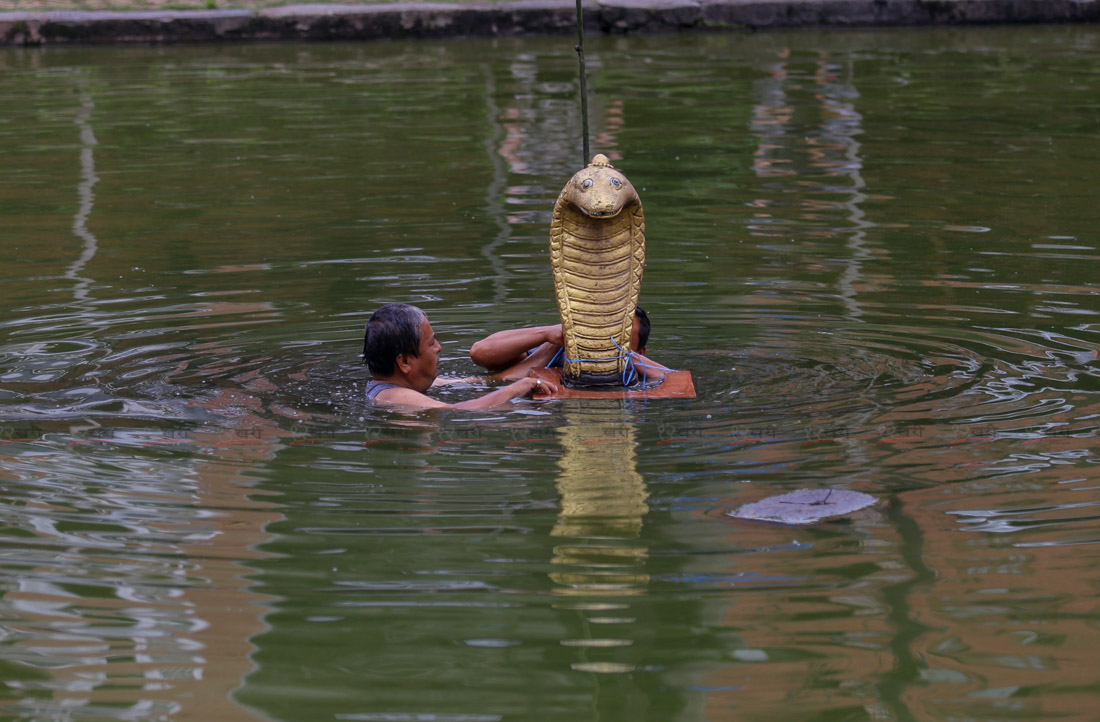 तस्बिरमा नाग पञ्चमी