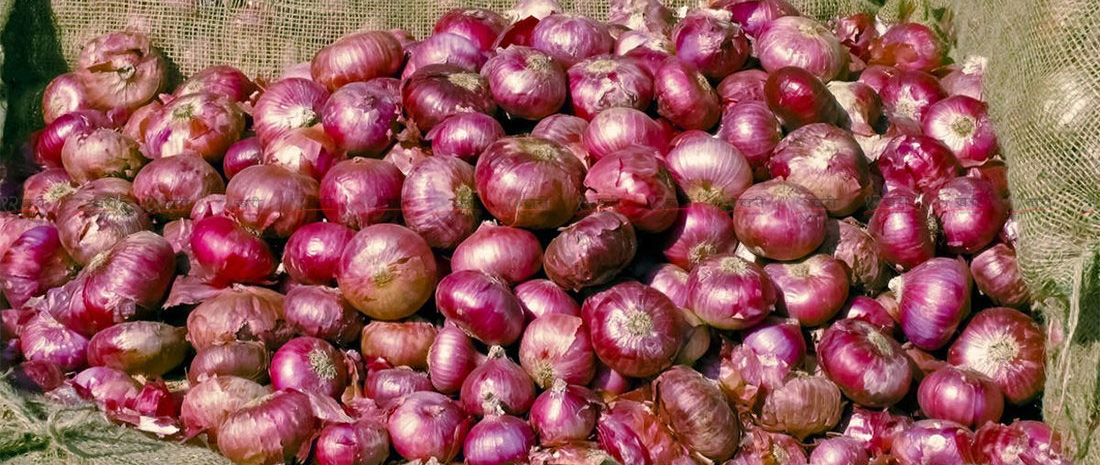 प्याजको मूल्य एकैदिन किलोमा ५० रुपैयाँले बढ्यो
