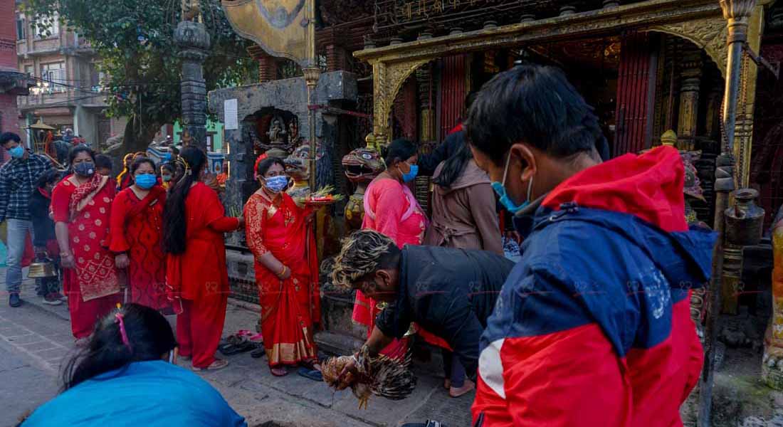 महानवमीमा शक्तिपिठहरुमा जे देखियो... (फोटो फिचर)