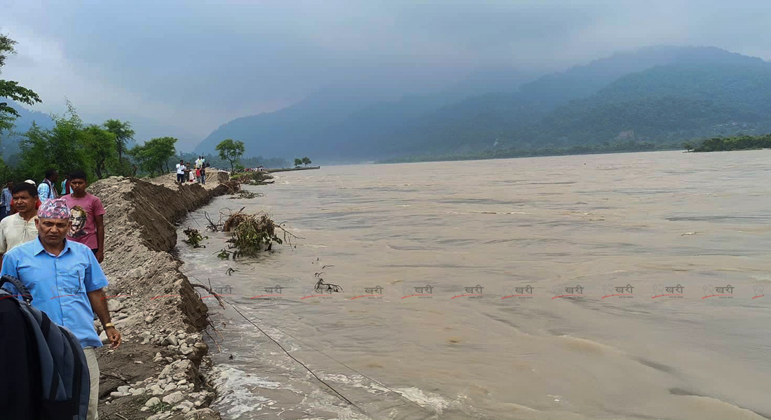 कोसीमा बाढी : उदयपुरसँगै सप्तरी र सुनसरीका तीन पालिका बढी जोखिममा (तस्बिरहरू)