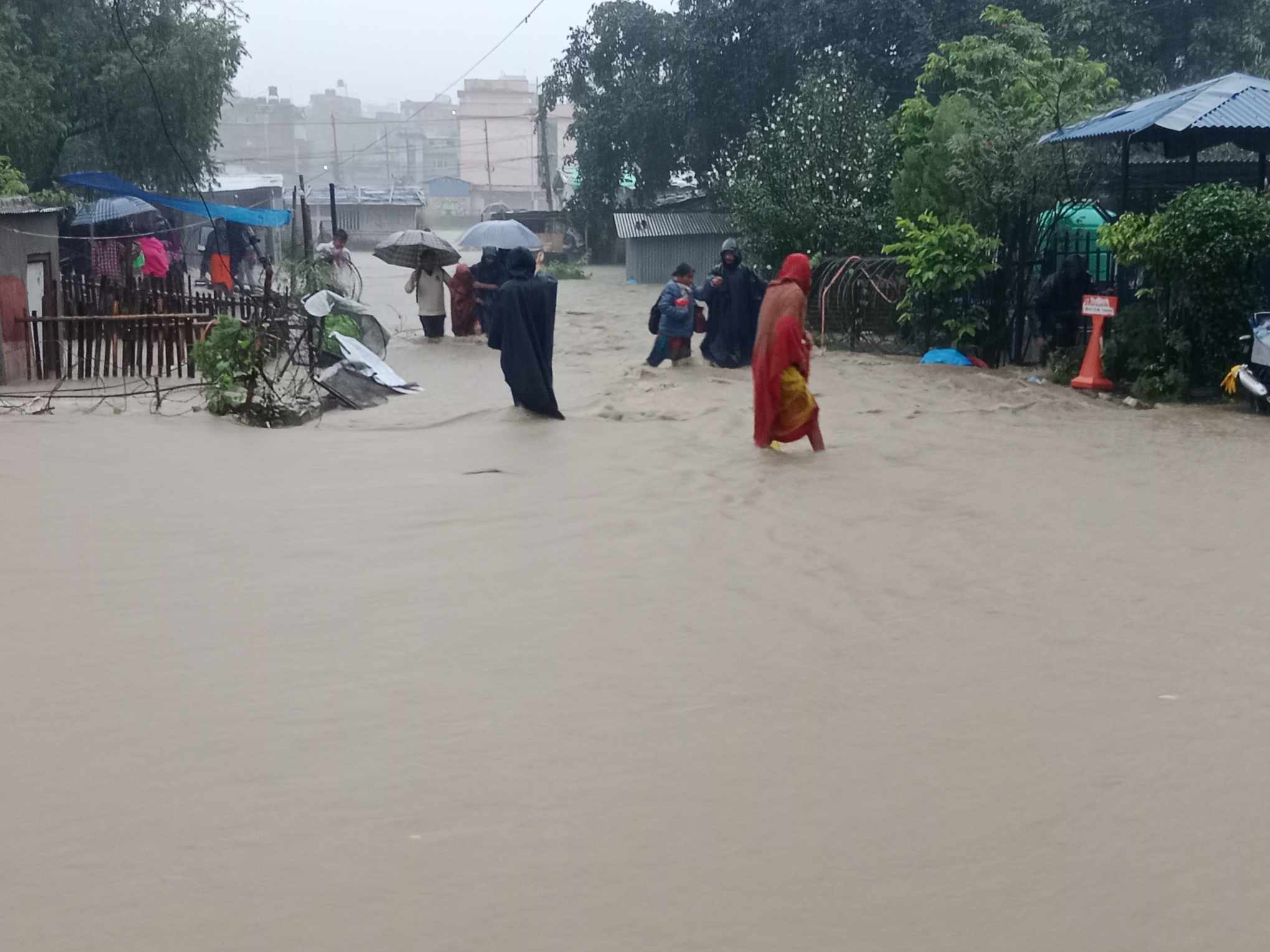 ललितपुरबाट २८१ जनाको उद्धार