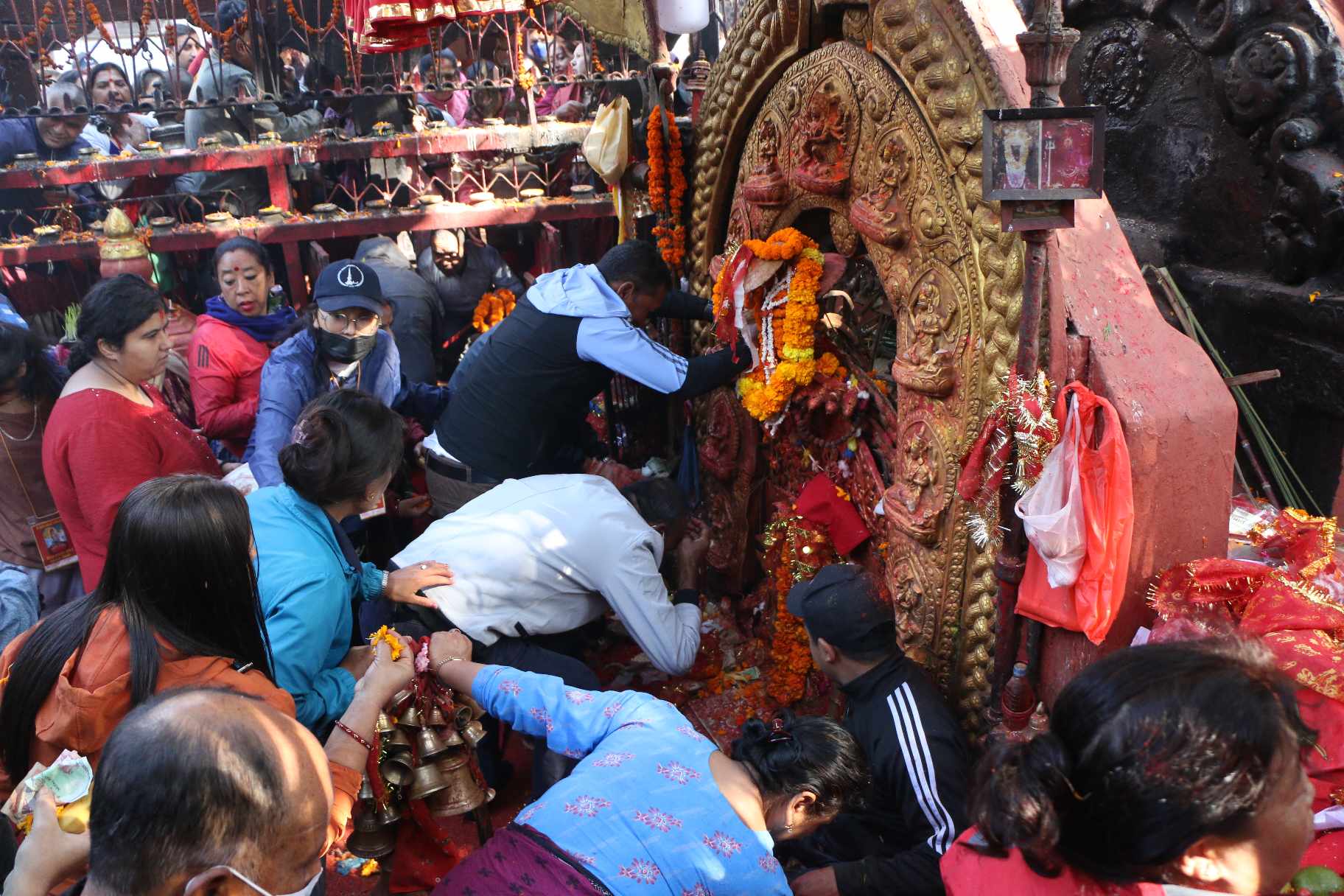 शक्तिपीठमा घुइँचो (तस्बिरहरू)