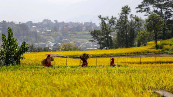 कुल गार्हस्थ उत्पादन एक सय खर्ब रुपैयाँभन्दा माथि पुर्‍याइने