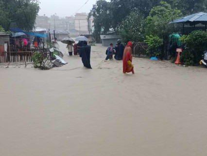 ललितपुरबाट २८१ जनाको उद्धार