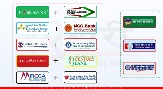 निजी बैंक मर्जरमा जाँदा सरकारी बैंकलाई प्रतिस्पर्धा गर्न चुनौती !