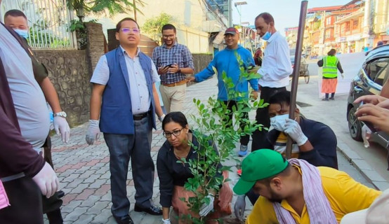 भरतपुरमा हरियाली प्रवर्द्धनका लागि पाँच करोड