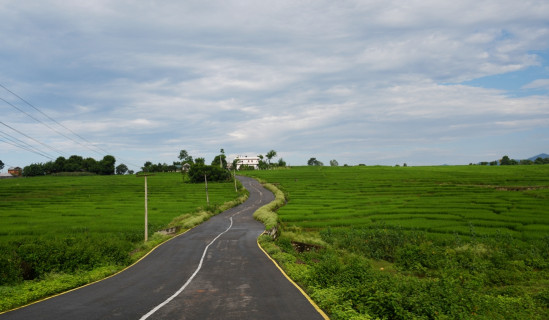 धानफाँट