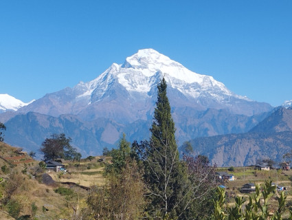 धौलागिरि हिमाल