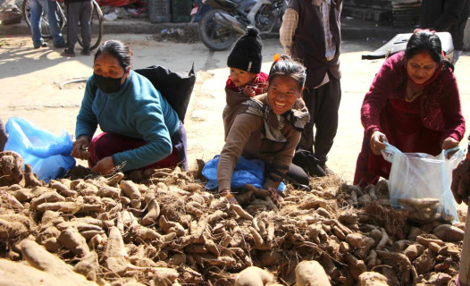 सोमबार माघे सङ्क्रान्ति पर्व मनाइँदै