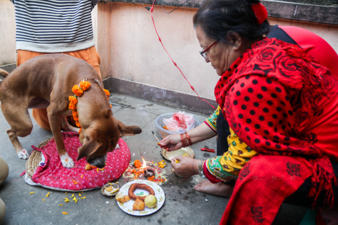 कुकुर तिहार