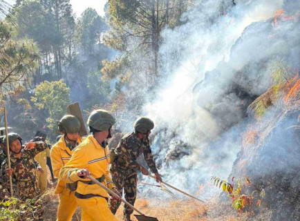 पाल्पाको ज‌ंगलमा डढेलो