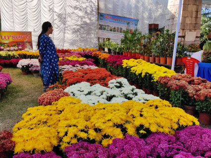 जावलाखेलमा पुष्प मेला (तस्बिरहरू)