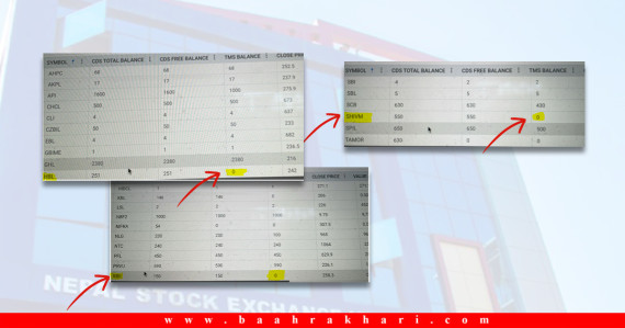 मिलेमतोमा टीएमएसमा समस्या देखाइएको आशंका, ब्रोकरको जवाफ– जानकारी छैन
