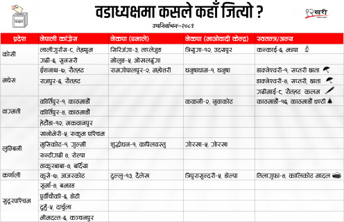 ३२ वडाध्यक्षको नतिजा सार्वजनिक : कुन पार्टीले कति जिते ? 