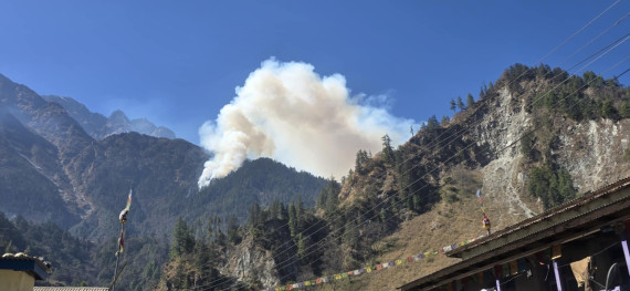 तिमाङको जंगलमा लागेको डढेलो अझै नियन्त्रणमा आएन