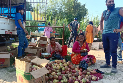 जुम्लाका उत्पादन, कैलालीमा व्यापार