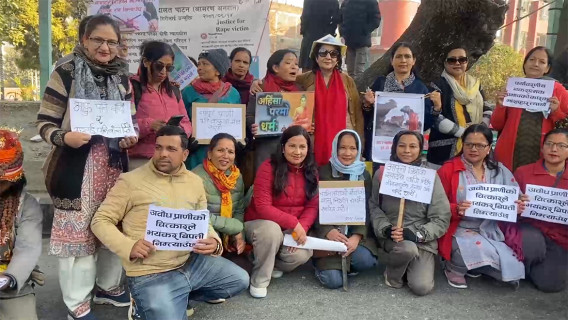 भैँसीको मासु निर्यात सम्झौताविरुद्ध माइतीघरमा प्रदर्शन