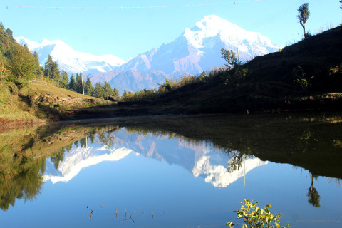 बराहमा विम्ब