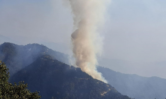 काभ्रेको महाभारत जंगलमा लागेको डढेलो अझै नियन्त्रणमा आएन