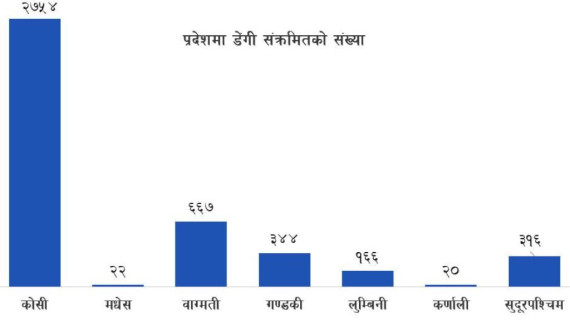 डेंगी संक्रमितको संख्या चार हजार नाघ्यो, तीनजनाको मृत्यु