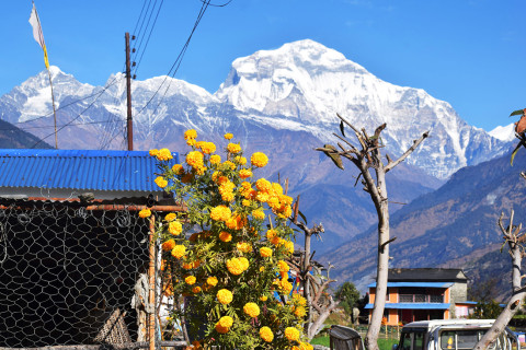 मनमोहक धौलागिरि