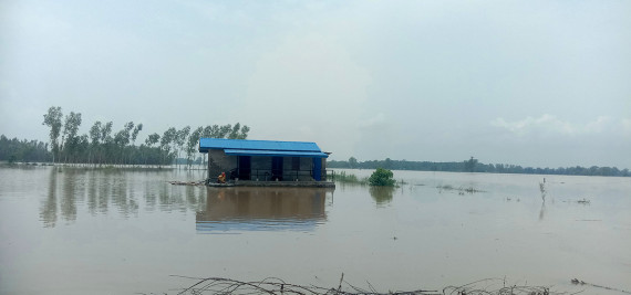 कैलालीमा सयौँ घर डुबानमा