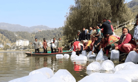 फेवातालमा २५ हजार माछाका भुरा छोडियो