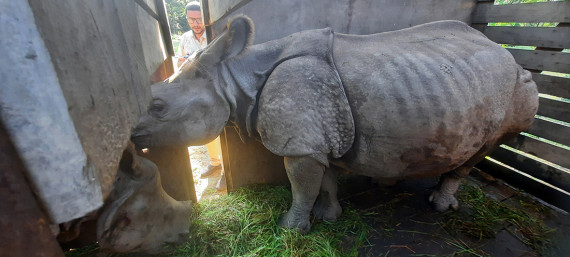 कोसी टप्पुमा पठाइए पुष्पा र अञ्जली