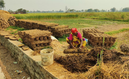 गुइँठा विधि