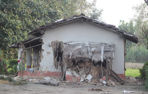 लालझाडीमा जंगली हात्तीको आतंक, रातिको समयमा हिँडडुलमा रोक 