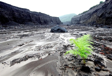 कोलम्बियामा बाँध भत्कँदा १२ जना घाइते, धेरै बालबालिका बेपत्ता