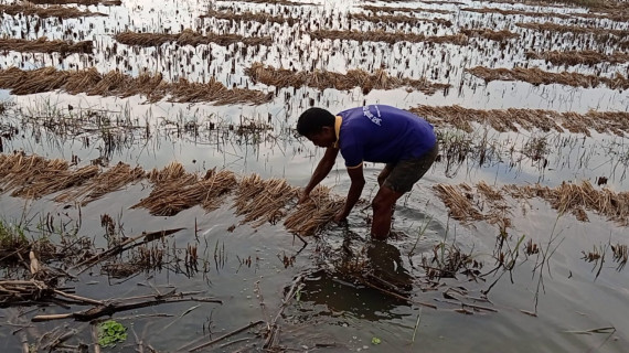 अर्बौं क्षति भइसक्यो, राहतका लागि मन्त्रालयसँग पाँच करोडमात्रै बजेट छ !