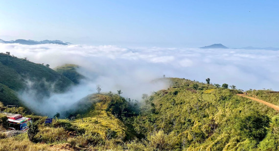 कुहिरोको दृश्य