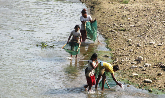 माछा मार्दै