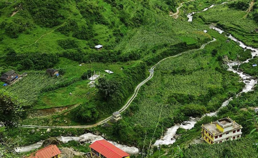 हावाहुरीले मकै बाली नष्ट