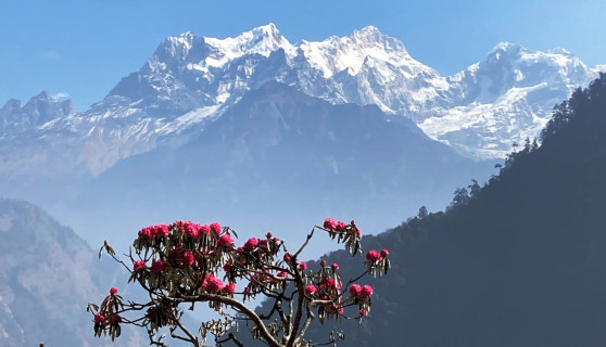 ७० देशका ८७० आरोहीले हिमाल आरोहणको अनुमति, ६ करोड रोयल्टी संकलन