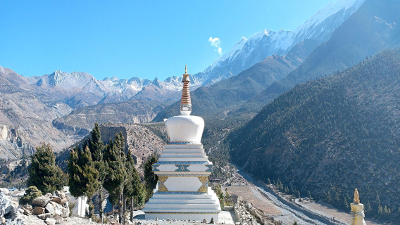 बोधी स्तुप र तिलोचो हिमाल