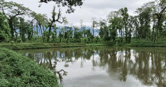 वन्यजन्तुका लागि सामुदायिक वनमा पोखरी 