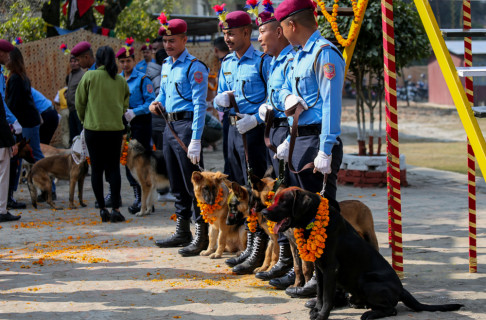 तीन सुरक्षा निकायले गरे कुकुर पूजा