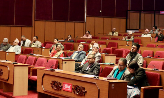 राष्ट्रियसभाबाट नवीकरणीय उर्जा तथा दक्षतासम्बन्धी विधेयक पारित