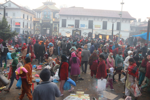 बालाचतुर्दशी : पशुपतिनाथसहित शिवालयमा शतबीज छरियाे