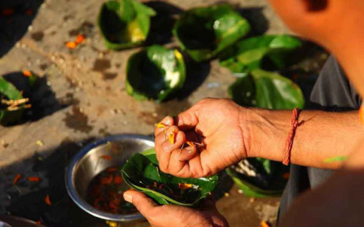 आश्विन कृष्ण पक्ष : सोह्र श्राद्ध सुरु