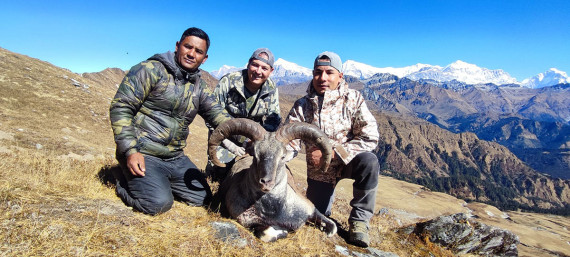 एउटा नाउर/झारलको सिकार गर्न लाग्छ २० देखि ३० लाख शूल्क