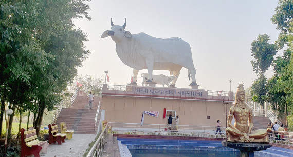 गाईको प्रतिमा