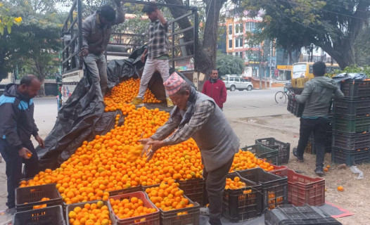 सुन्तला व्यापार